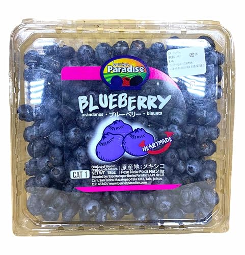 ブルーベリー 生ブルーベリー」の人気商品一覧 | 安い商品を通販